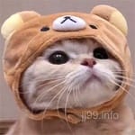 Avatar of Shoaib Rafiq