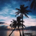 Avatar of Waqar Hussain